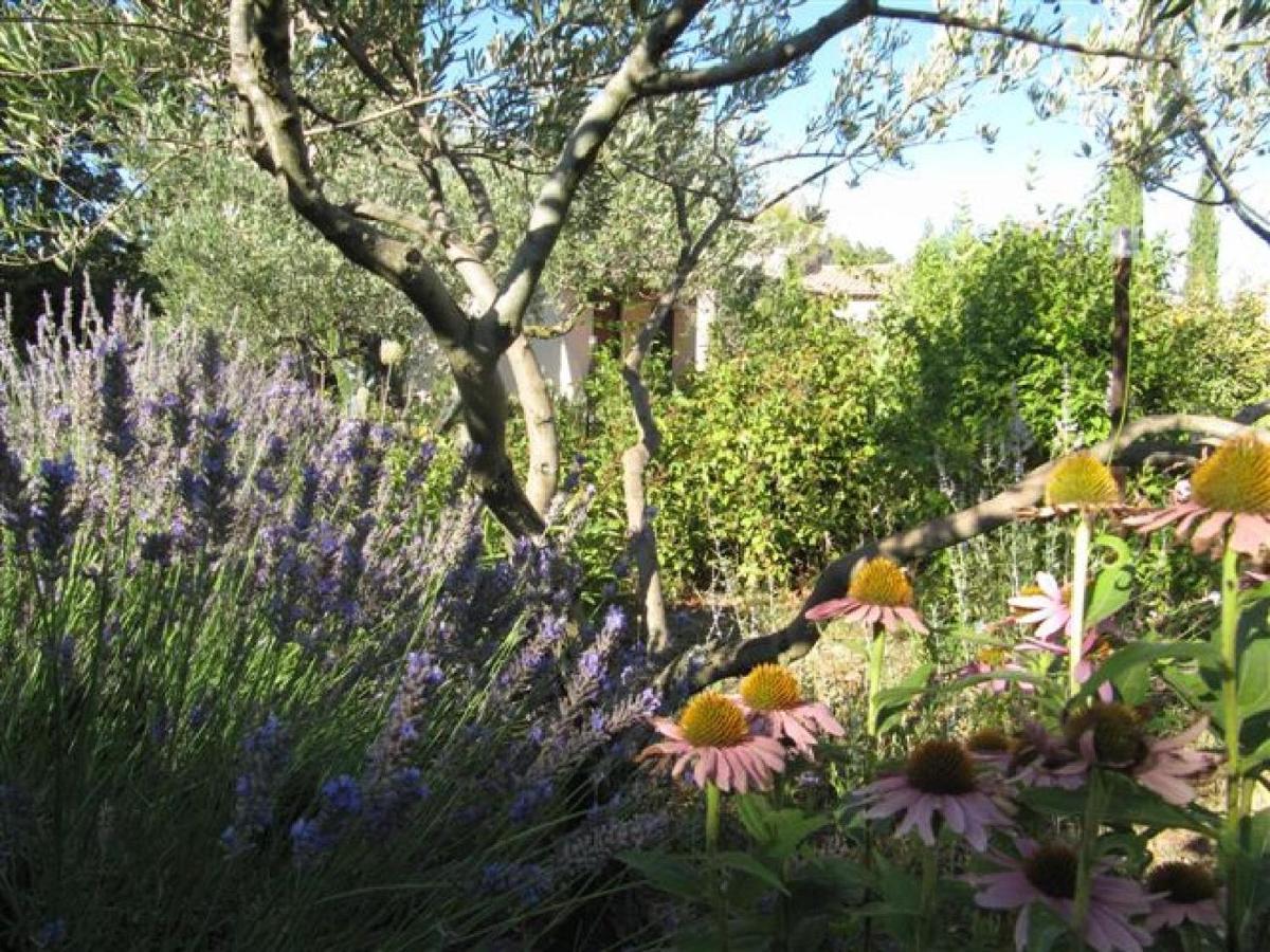 Apiflore Garéoult Oda fotoğraf